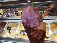 -Patagonia Chocolates(皇后镇店)