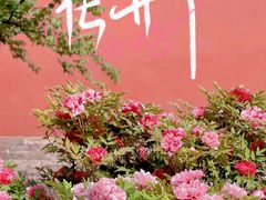 -故宫博物院(故宫)