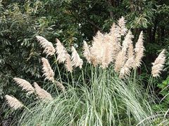 -昆明市金殿名胜区