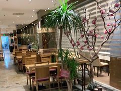 -一轩饺子馆(丽都店)