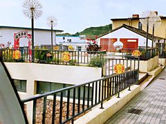 -枸杞岛