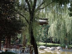 -西安青龙寺遗址景区