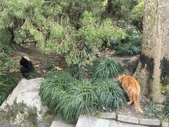 -静安公园(静安寺街道)