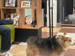 -奈斯宠物医院·核磁CT·异宠专科·内镜(中南店)