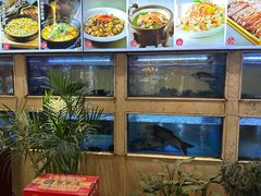 -阿英煲(凉城路店)