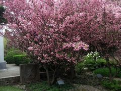 android_upload_pic-南通博物苑-崇川人民公园