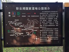 -重庆彩云湖湿地公园