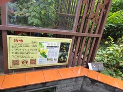 -广州神农草堂中医药博物馆
