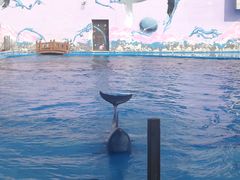 -北戴河圣蓝海洋公园