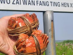 -七的湖·晚芳亭·阳澄湖农家菜·大闸蟹(莲花岛店)