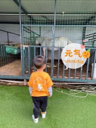 -小蜜蜂农场(凯德七宝购物广场店)
