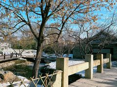 -三里河公园