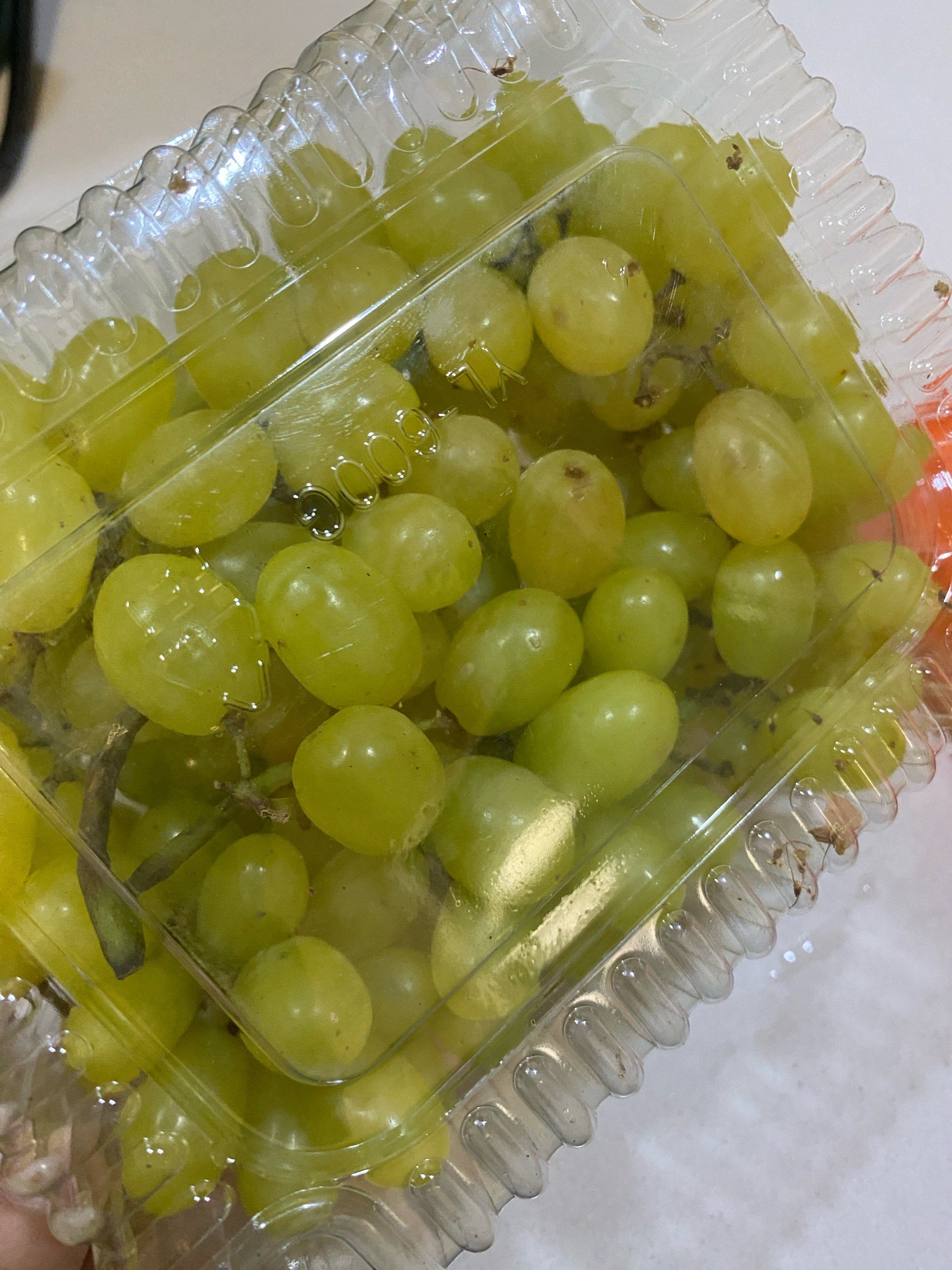 提子还是不错的