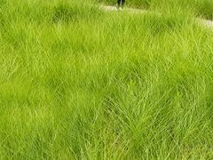 -中国天府农业博览园