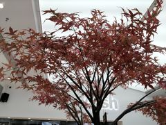 -艾薯夫妇Aysh(福田星河COCOPark店)