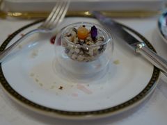 -The Lounge大堂酒廊·咖啡·沙拉·下午茶(金茂深圳JW万豪酒店)