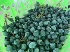 -金谷域澳洲庄园