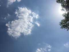 -河南财经政法大学(郑东校区)