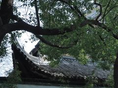 -西园戒幢律寺