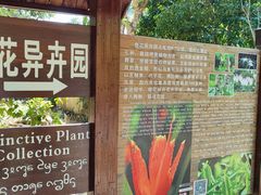 -中国科学院西双版纳热带植物园