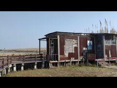 -宁波杭州湾国家湿地公园