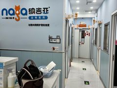 -纳吉亚猫专科动物诊疗中心(蒋宅口分院)