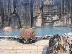 -山湖温泉