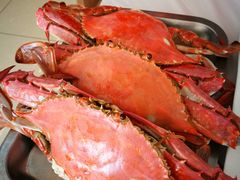 -渔民船说·北塘海鲜·天津菜·海肠捞饭(北塘古镇店)