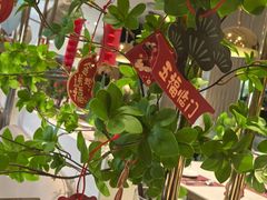 -Deer Park鹿园西餐(仁恒置地广场店)