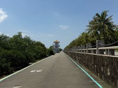 -福田红树林生态公园