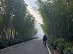 -天目湖御水温泉·度假酒店