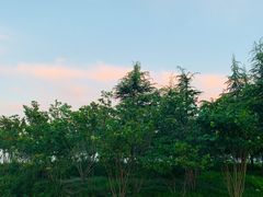 -樱桃沟景区