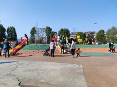 -枫香湖儿童公园