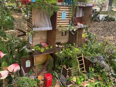 -上海鲜花港