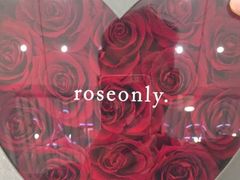 -ROSEONLY诺誓(国际广场购物中心店)