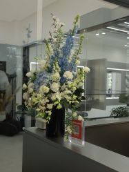 -蚂蚁造型俱乐部