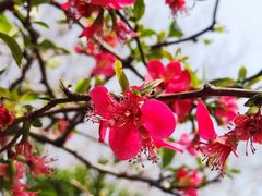 -国际非物质文化遗产博览园