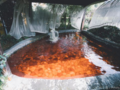 -杭州第一世界大酒店·云曼温泉