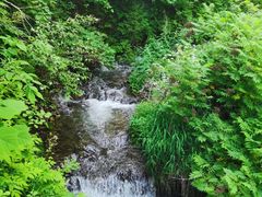 -老秃顶草原景区