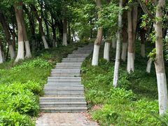 -新洲生态园