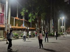 -金砂公园