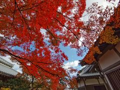 -常寂光寺