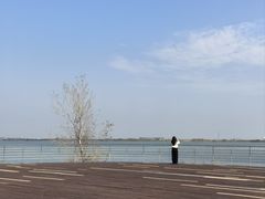 -江滩湿地公园