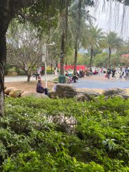 -广州市儿童公园