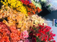 -循礼门鲜花花市(武汉循礼门店)