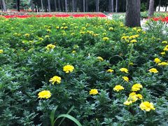 -黑龙江省森林植物园