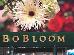 -BOBLOOM花店(宝龙旭辉广场店)