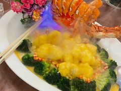 芝士龙虾伊面-北海渔村酒楼·粤菜海鲜点心(新华店)