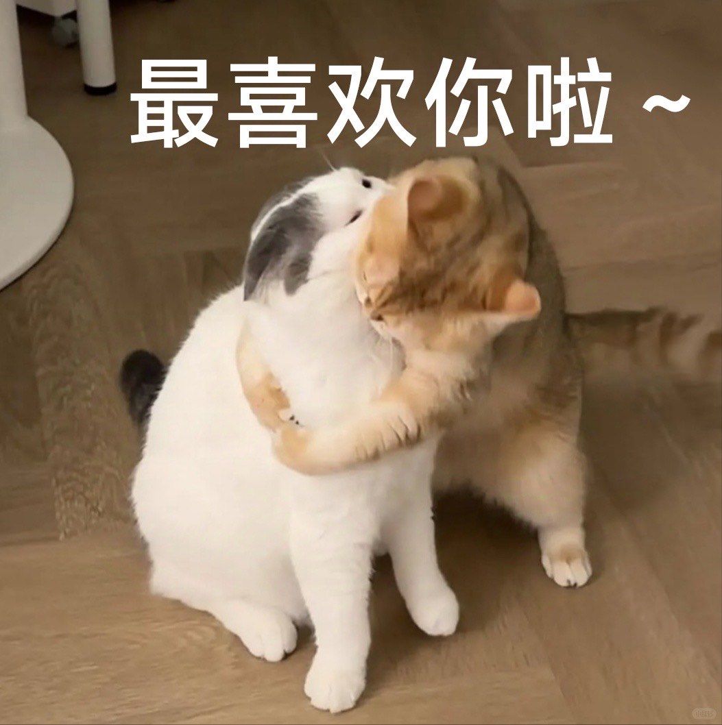 小猫表情包表意丰富,无论是开心,难过,撒娇还是好奇等情绪都可精准