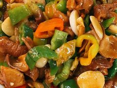 尖椒肥肠-瑜瑜饭馆